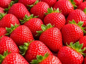Frutilla